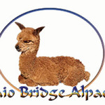 logoOtaioBridgeAlpacas.jpg