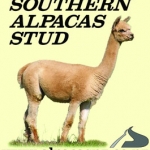 LogoSouthernAlpacasStud.jpg