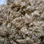 FleecewoodLeicesterFleece.jpg